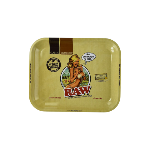 Raw Metal Tray Large (1 Count)
